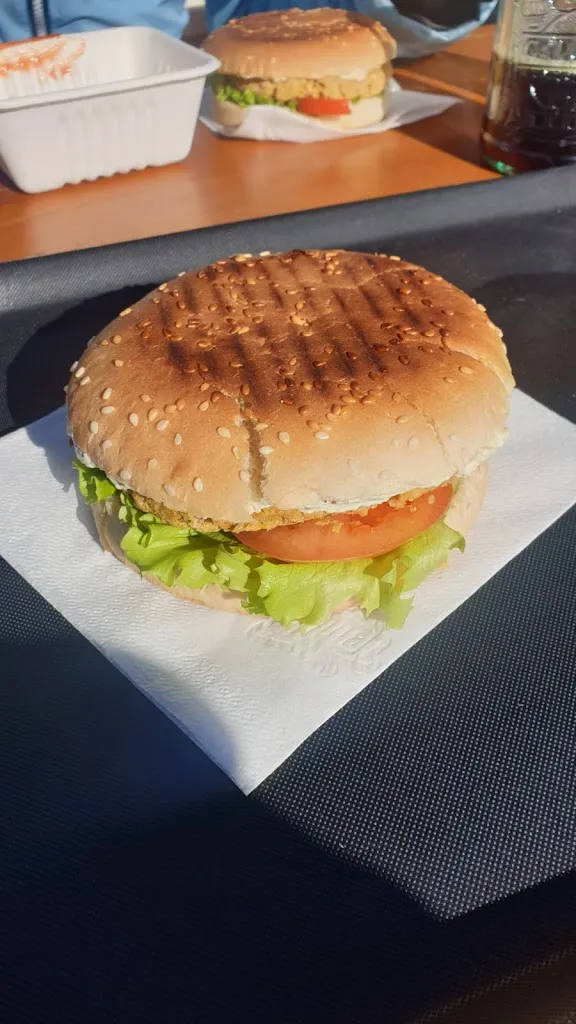 Alice Cooke_Rifugio Alpe Daolasa 2045_Commezzadura_review