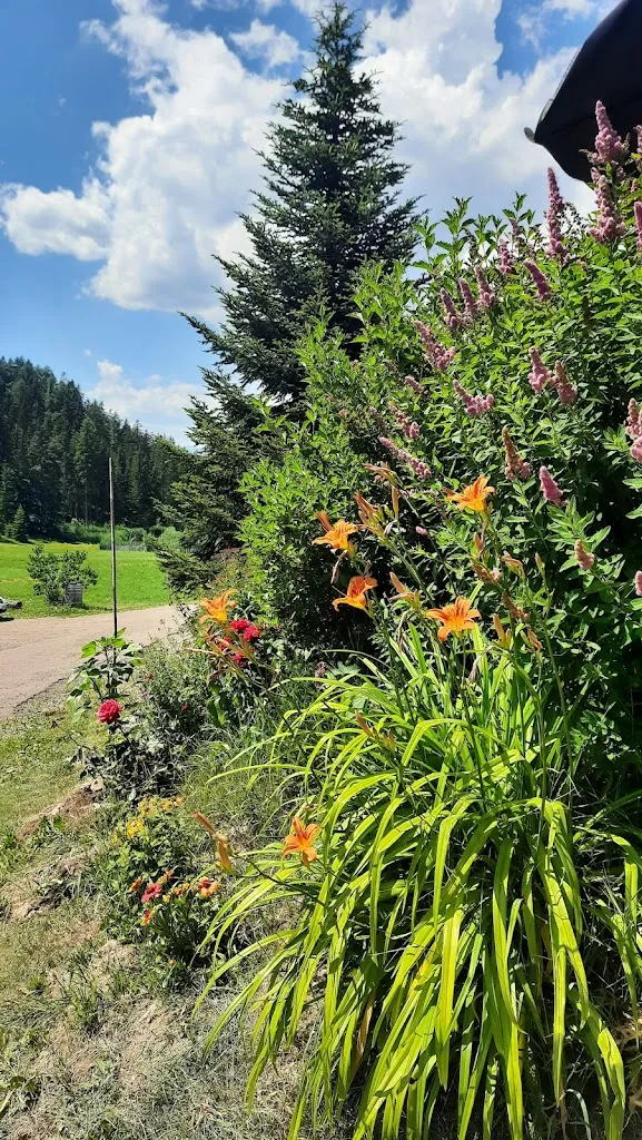 Francesca Beccalli_MoserHof_Collalbo_review