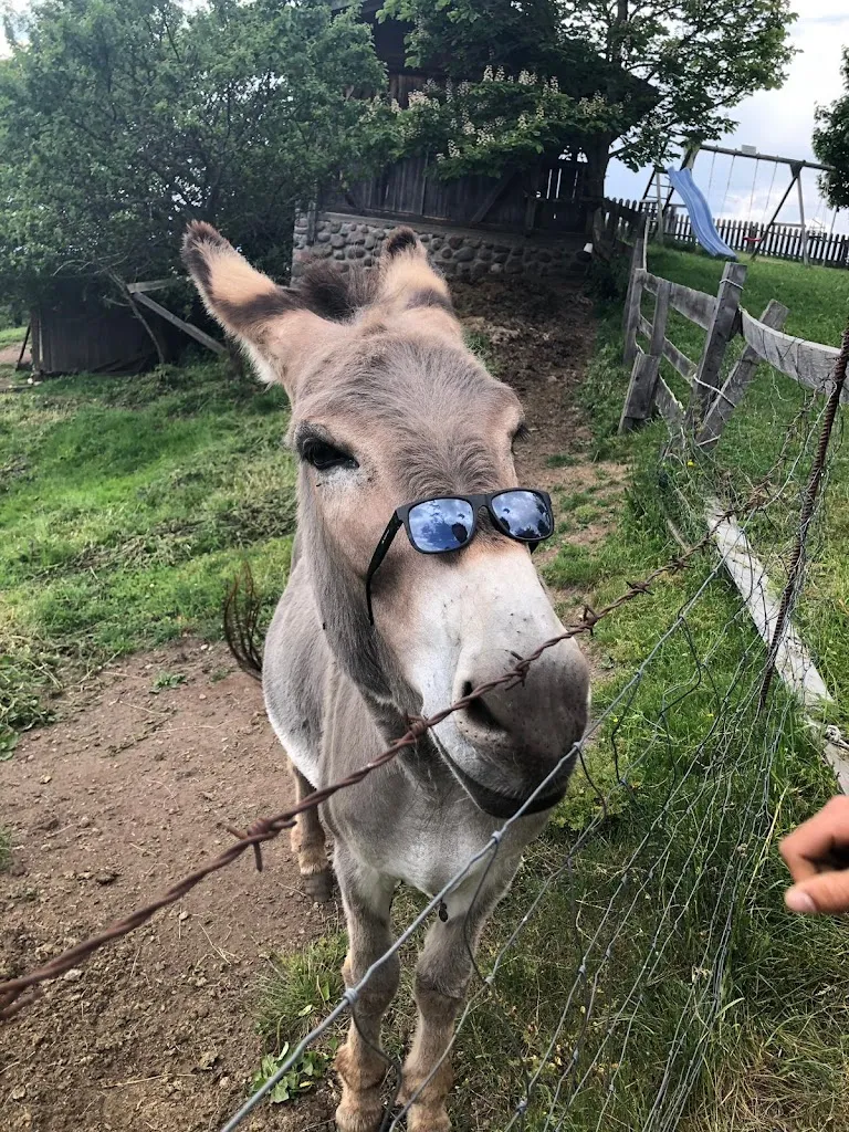 Gasthaus Weber_Collalbo_slider_image_3