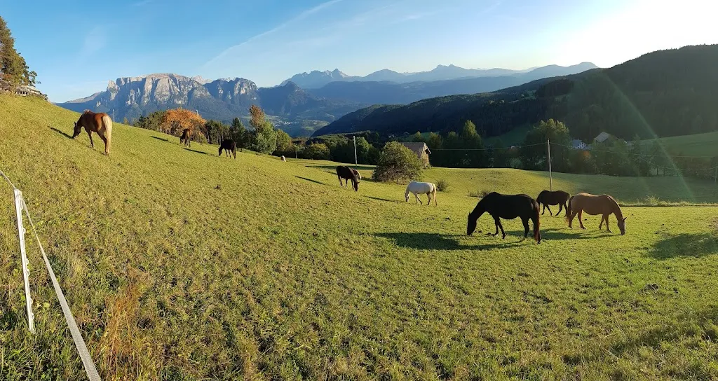 Markus Omega_Gasthaus Bad Siess_Collalbo_review