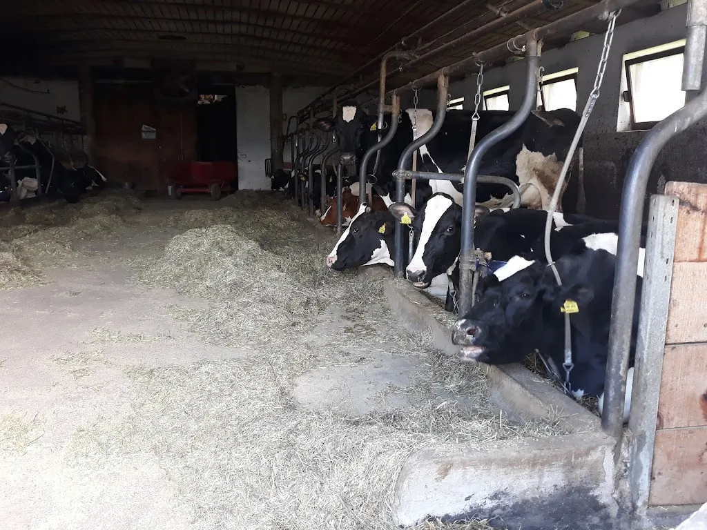 Ml avc_Oberpfaffstallhof_Collalbo_review