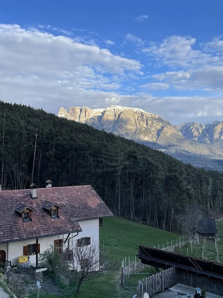 Liron Weissman_Haidgerberhof_Collalbo_review