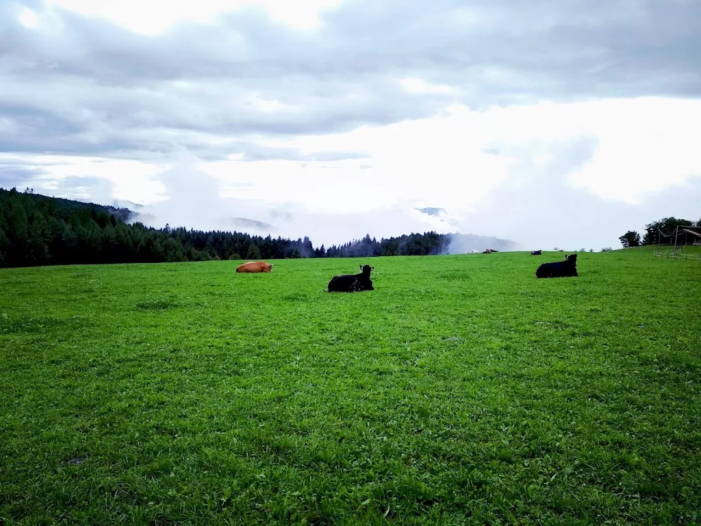 Giovanni Jussi_Lobishof Albergo_Collalbo_review