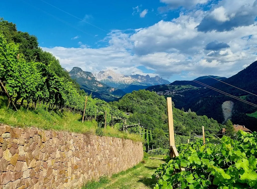 N. O._Lunhof_Collalbo_review