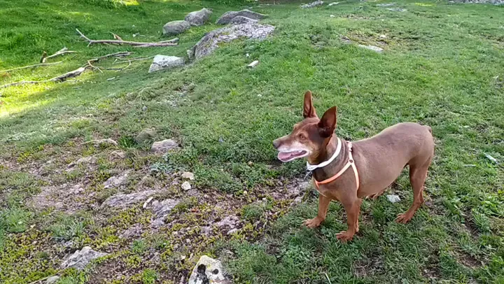 Lunhof_Collalbo_slider_image_2