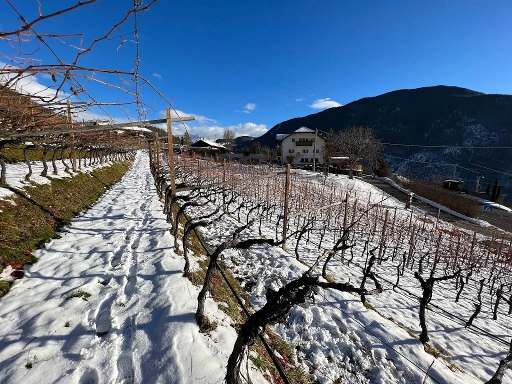 Lunhof_Collalbo_slider_image_3