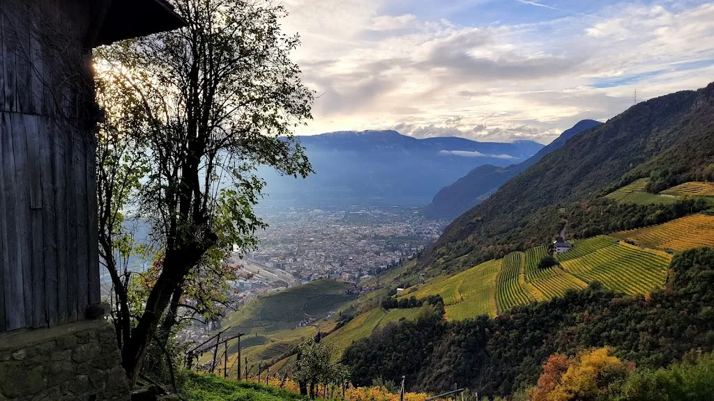 Loosmann Hof Buschenschank_Collalbo_slider_image_3