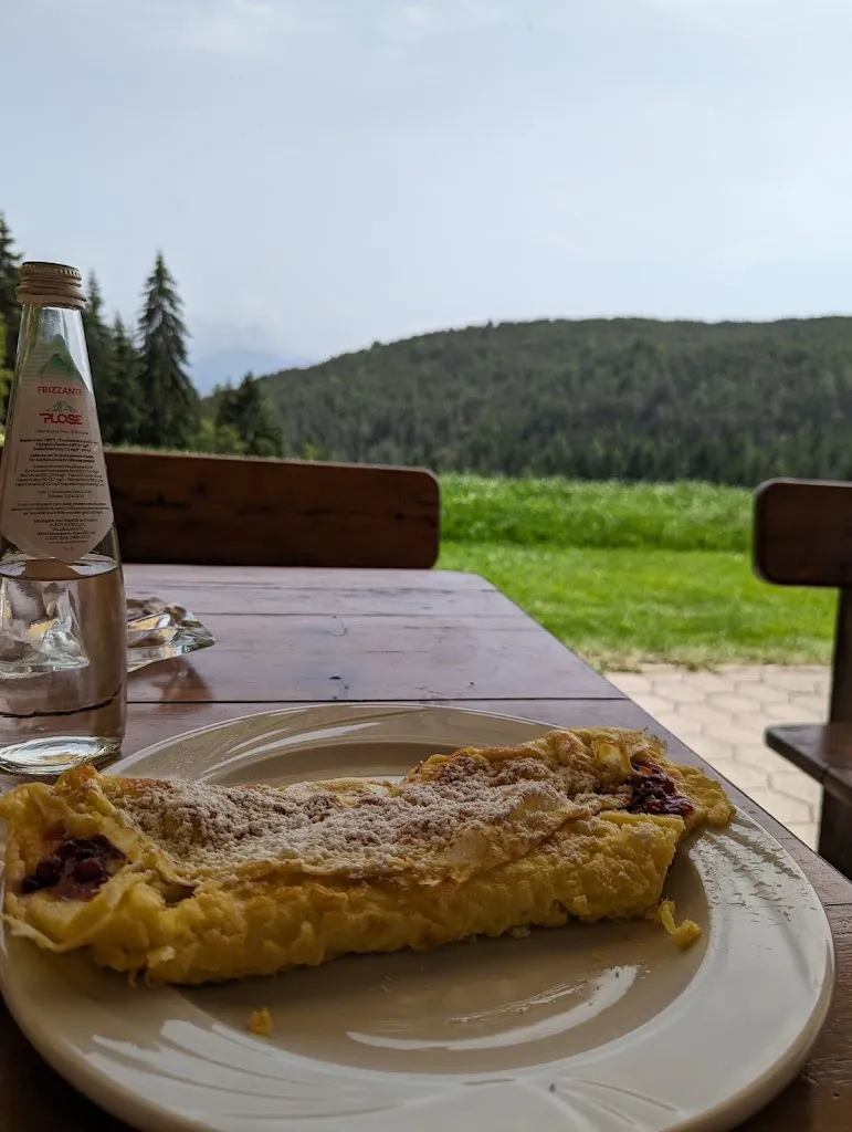 Julia Vol_Feichtnerhof_Collalbo_review