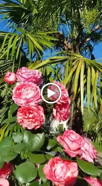 Hotel Restaurant Zum Falken_Cornaiano_slider_image_2