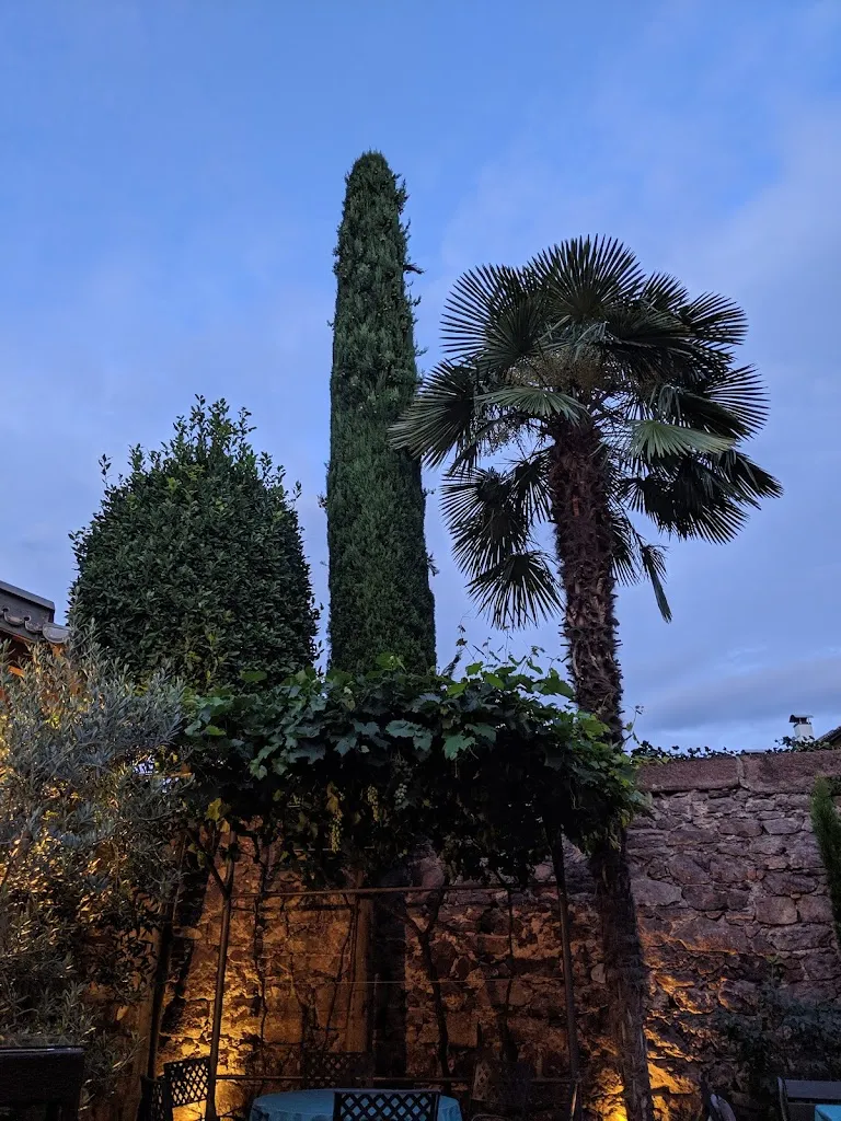 Josef Auer_Allegra Weinbar - Ansitz Schreckenstein_Cornaiano_review