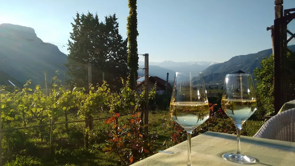 Emelie Hofland_Hotel Pension Weingut_Cornaiano_review