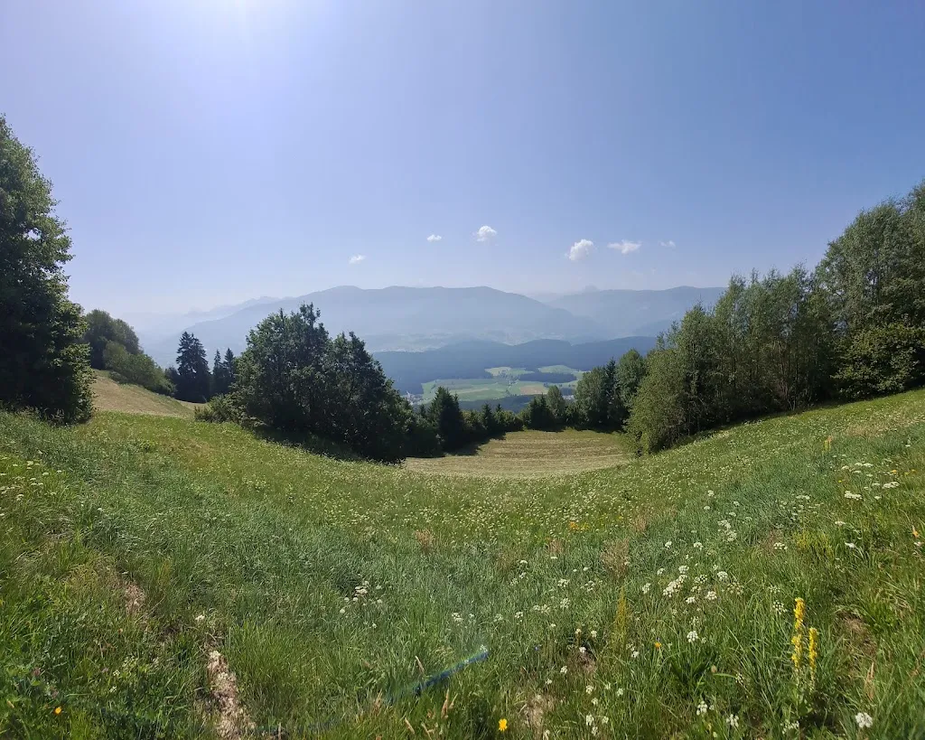 felice infante_Gasthaus Kofler Am Kolf_Falzes_review