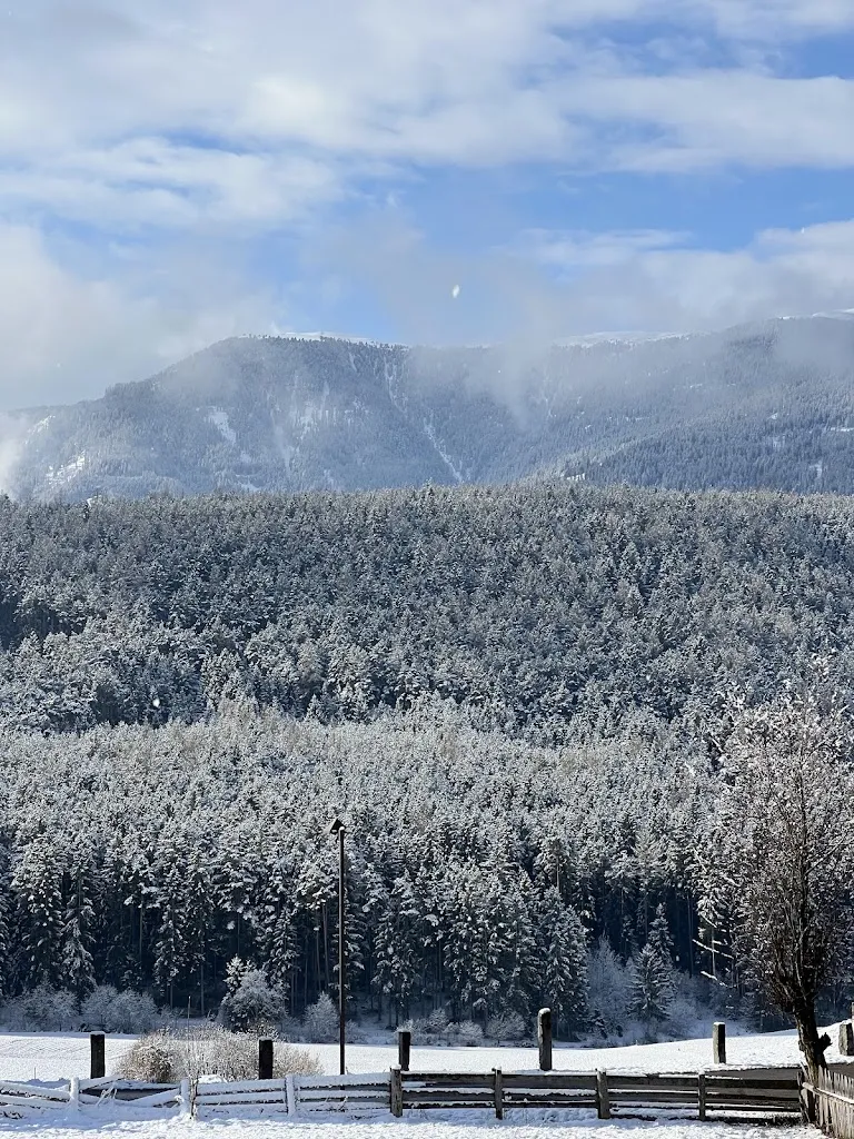 Elena Pittatore_Gourmet- und Boutiquehotel, Restaurant Tanzer_Falzes_review