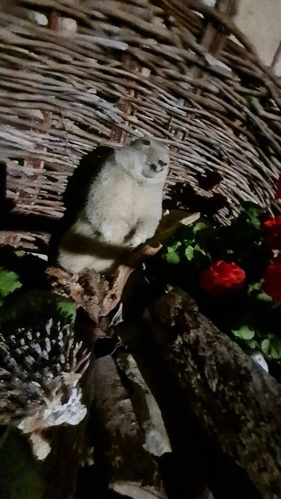 Menu_Maso Alfarëi Hof_Corvara in Badia_image_9