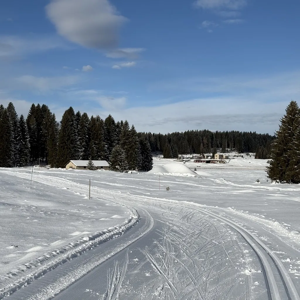 Erin Bolliger_Malga Millegrobbe_Gionghi-Cappella_review