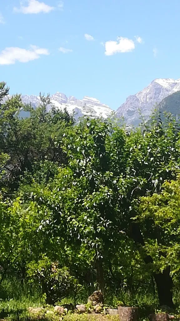 Massimo Terzi_Bel Bait_Giovo_review