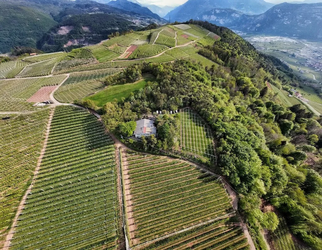 Bel Bait_Giovo_slider_image_3