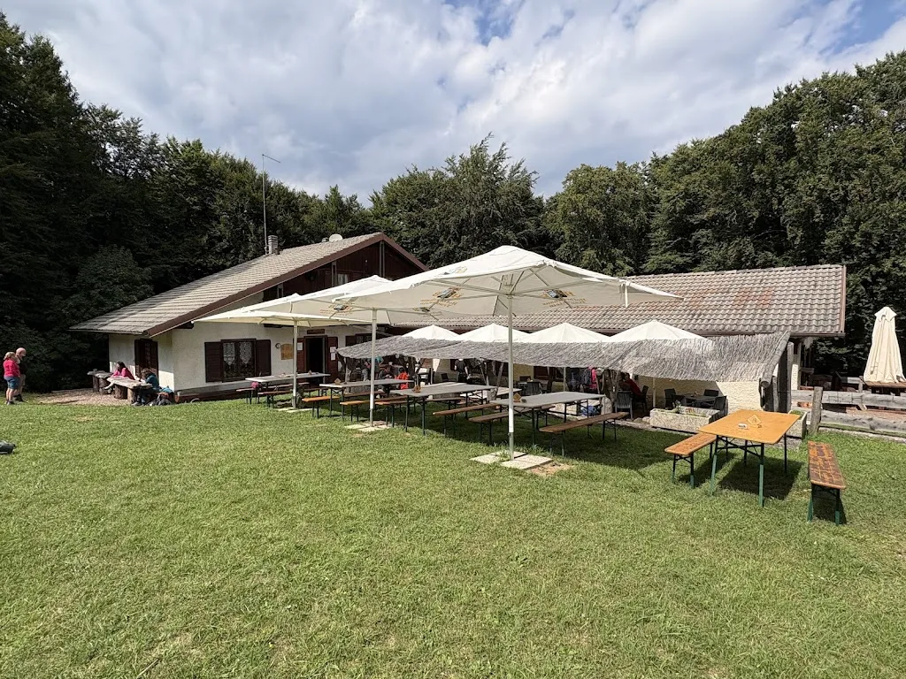 Diego D.T._Rifugio Malga Sauch Ristorante_Giovo_review