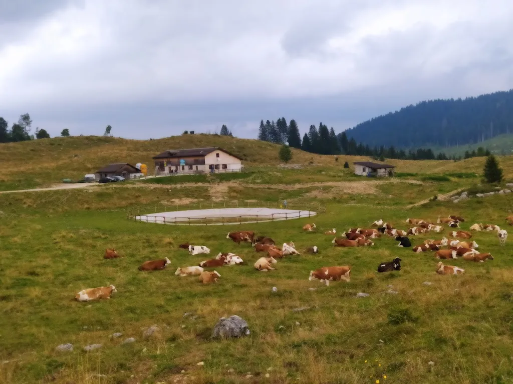 Katia Crobu_Malga Scura_Grigno_review