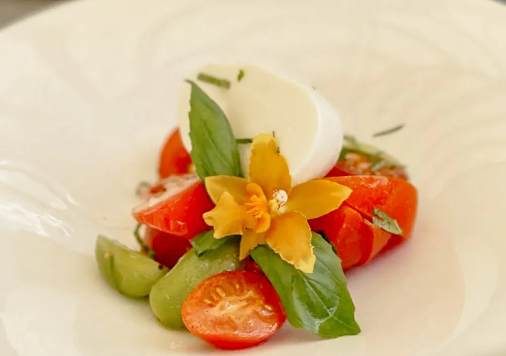 Bistro Orchidea_Gargazzone_slider_image_2