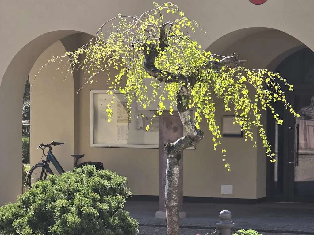 Sportverein Gargazon_Gargazzone_slider_image_2