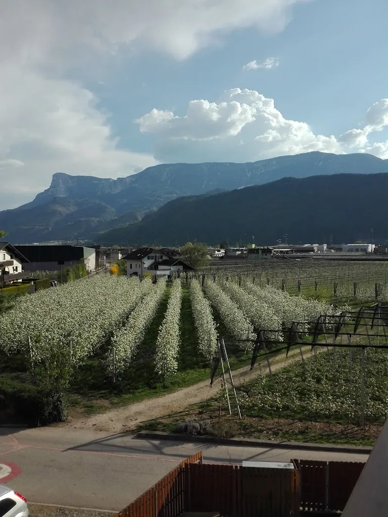 Sportverein Gargazon_Gargazzone_slider_image_3