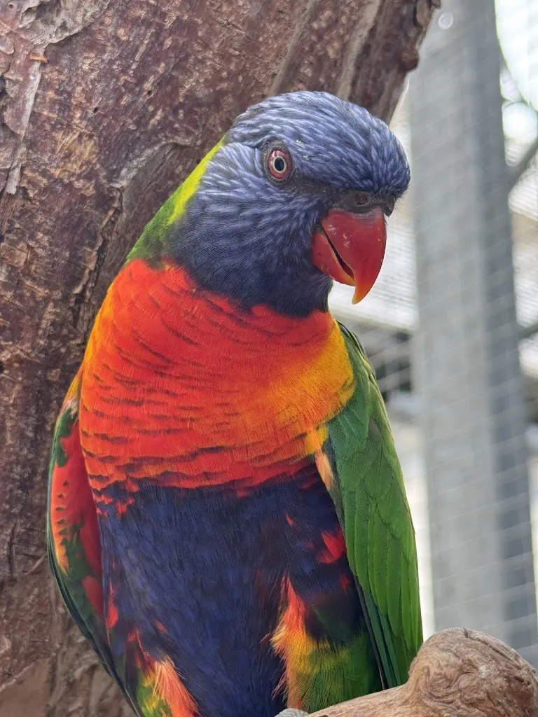 Caterina Albarella_Raffeiner Theme Park_Gargazzone_review