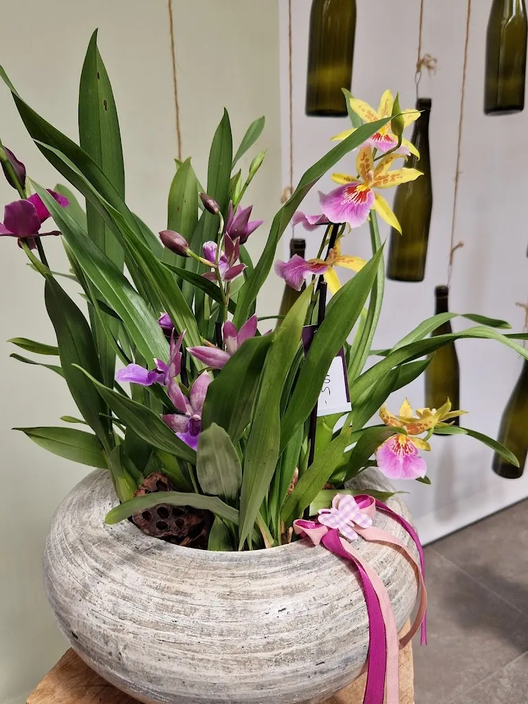 Lucy Trefna_Raffeiner Theme Park_Gargazzone_review