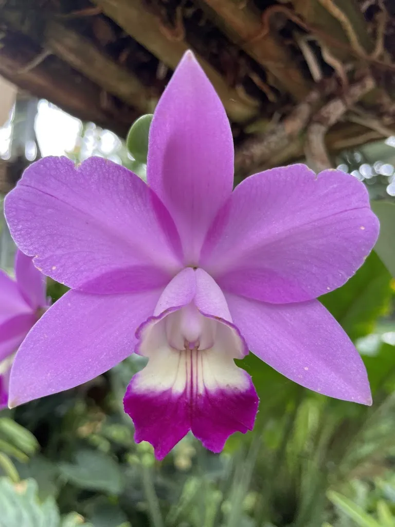 Raffeiner Theme Park restaurant in Gargazzone