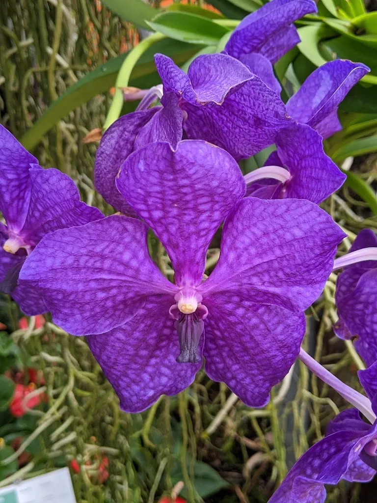 Raffeiner Theme Park_Gargazzone_slider_image_3