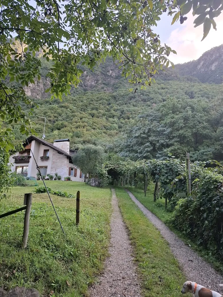 Elke V._Pizzeria Ganthaler_Gargazzone_review