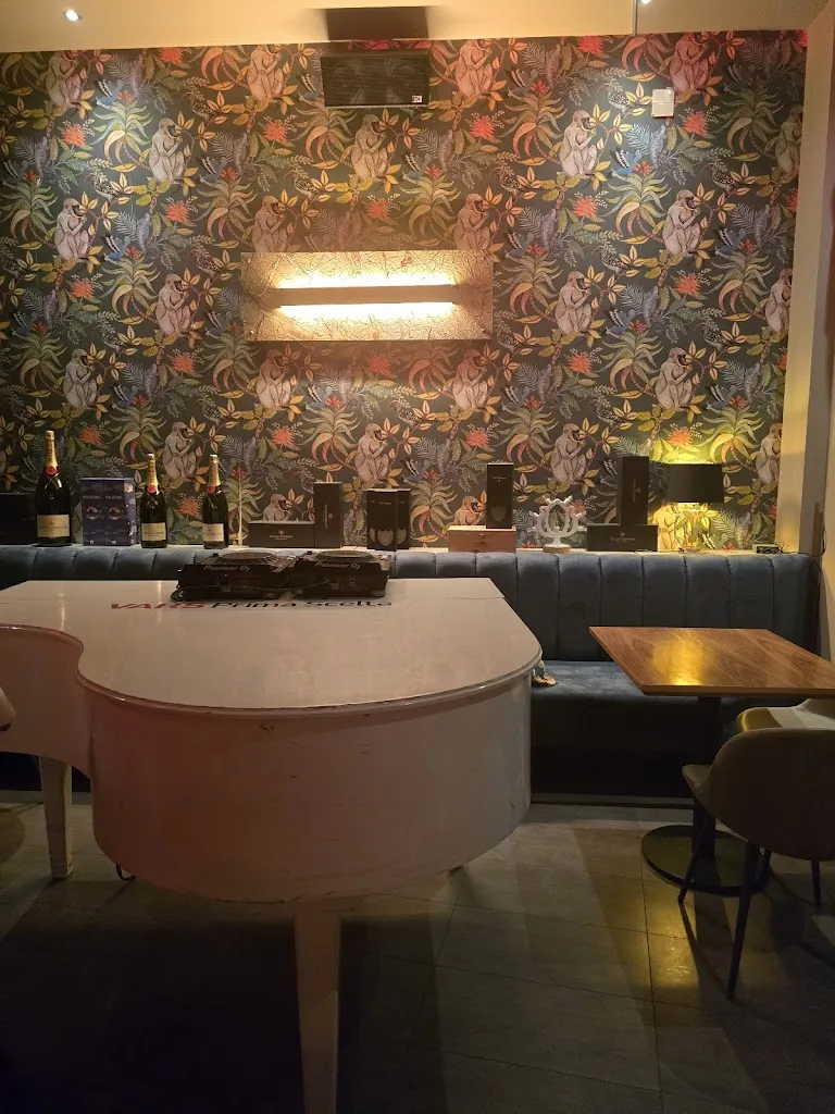 Andreina Coltro_Classico Maglie_Maglie_review