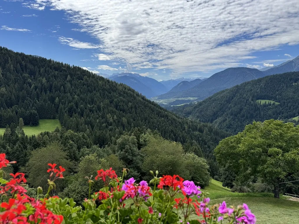 Fethiye Ozis_Gasthaus Sonne/Osteria al sole_Lauregno_review