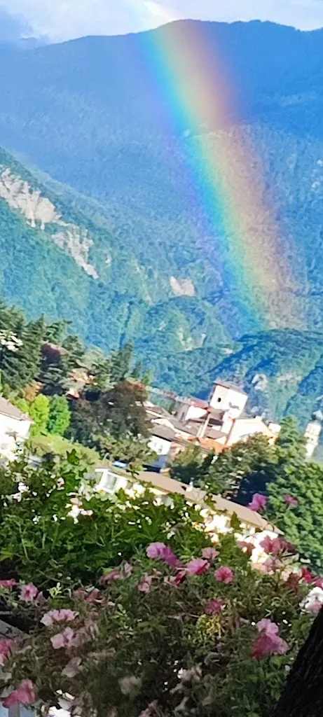 m m_Ristorante Prime Rose_Levico Terme_review