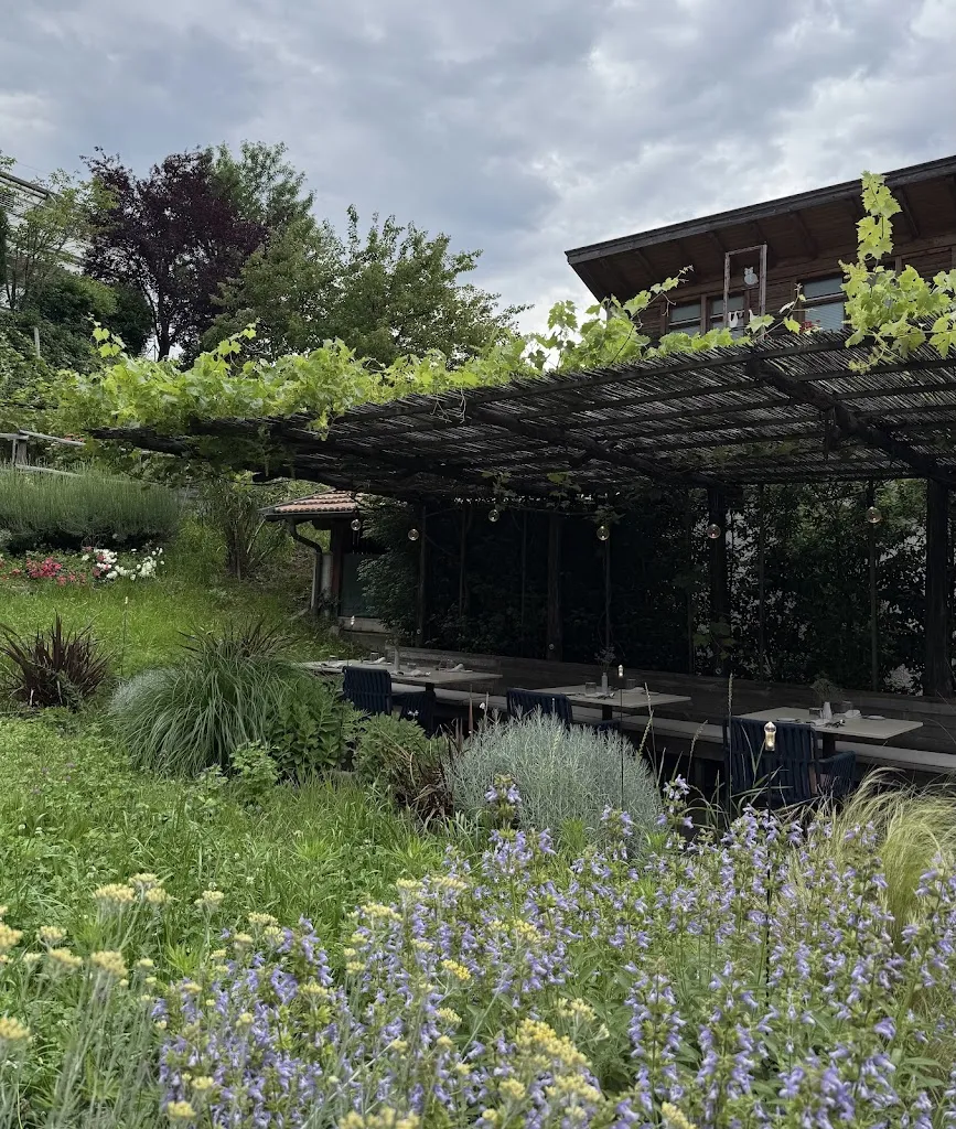 Lino Maurer_Zur blauen Traube_Lagundo_review