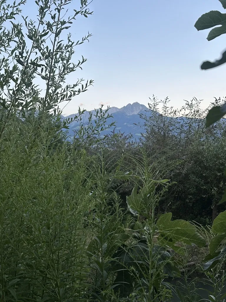 Mariana Becerra_Schnalshuberhof_Lagundo_recensione