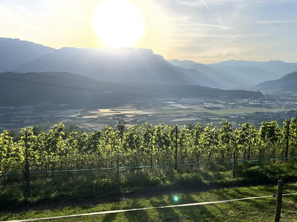 Tschuegghof restaurant in Laives