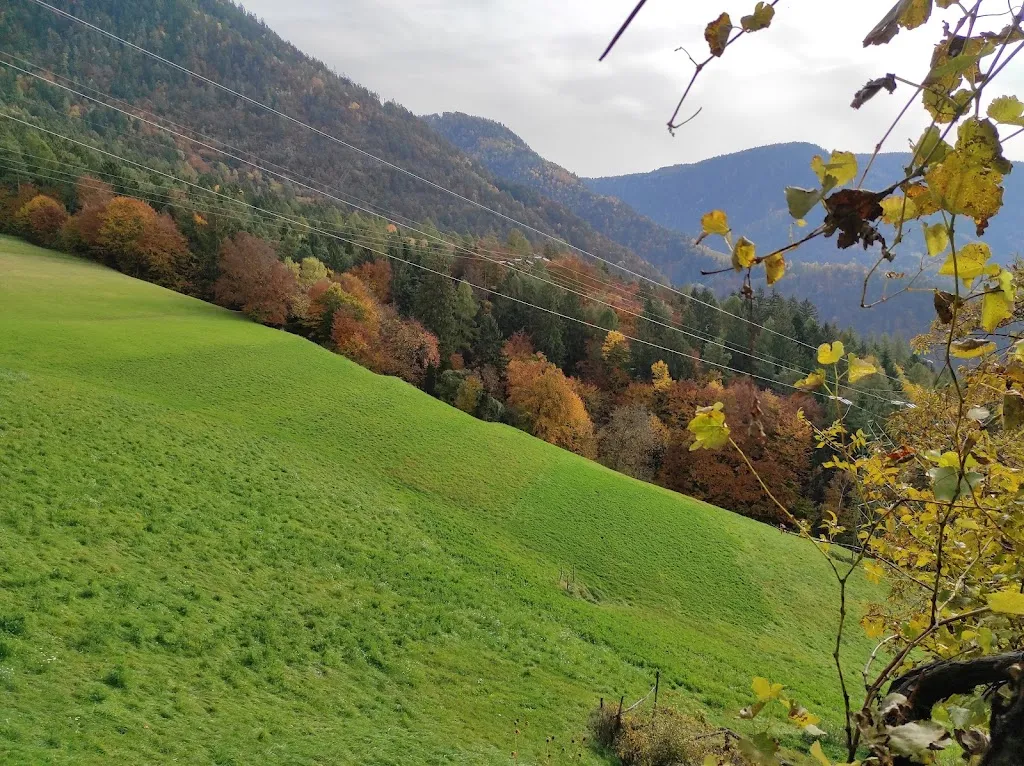 Andrea Bordin _Haus Rechtebner, Seit bei Bozen_Laives_review