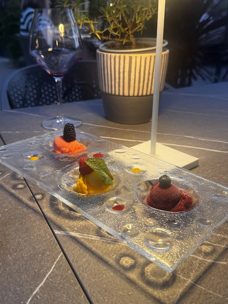 CREATIVE INTERNATIONAL EXPORTS_Hotel Steiner_Laives_review