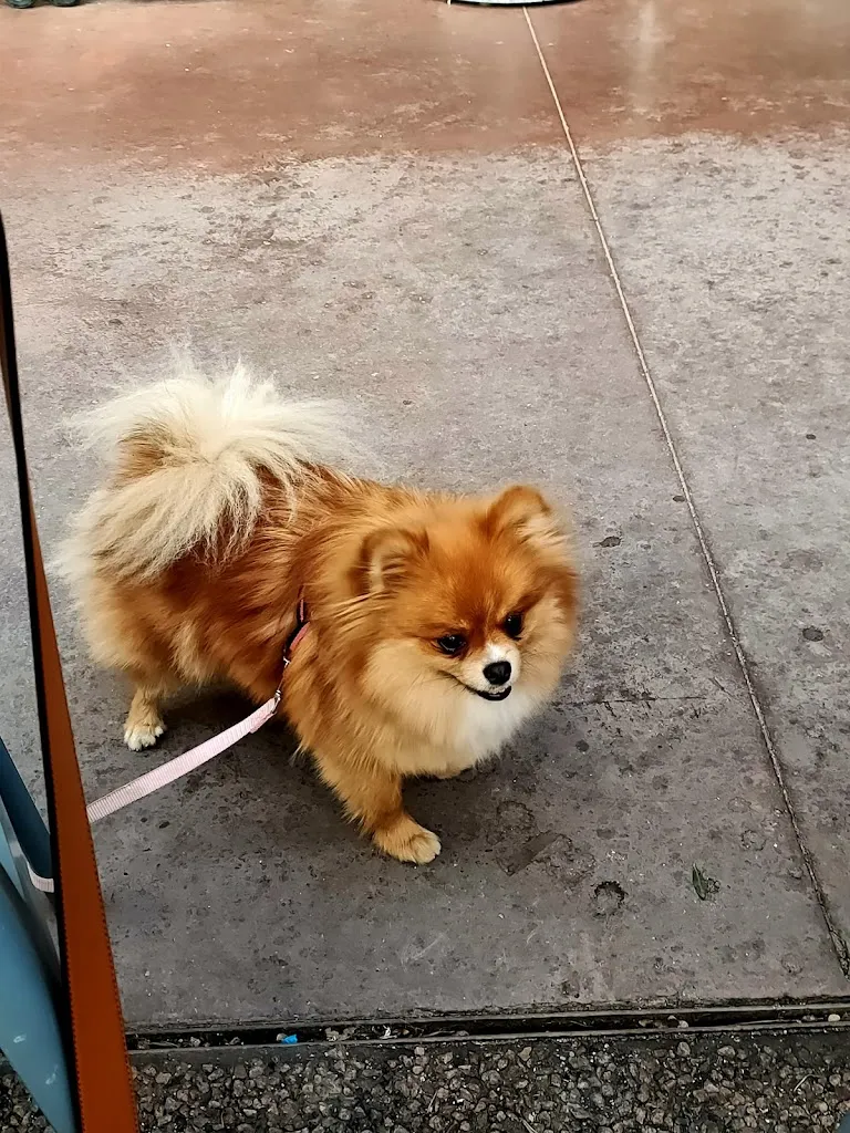 L'Angolo dello sport_Laives_slider_image_3