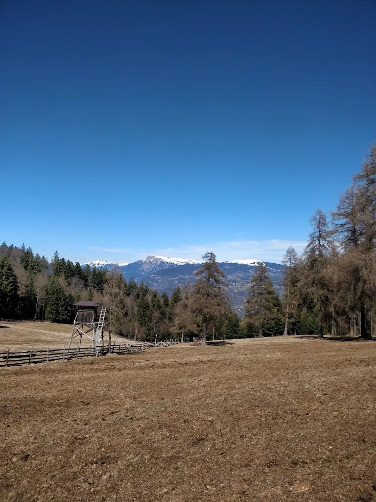 Per Enström_Schneiderwiesen_Laives_review