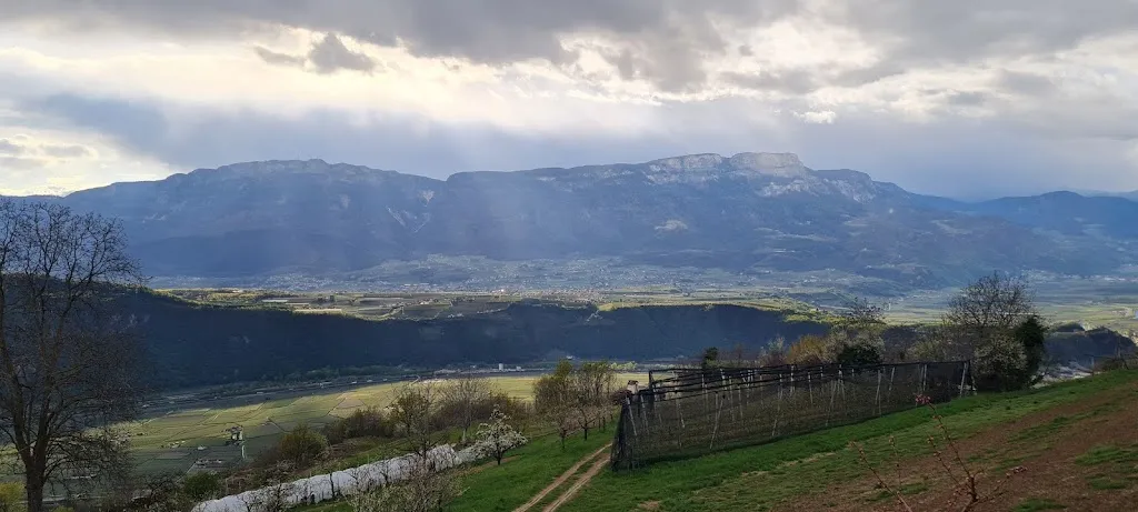 Marscho Schmosby_Buschenschank Schluntner_Laives_review