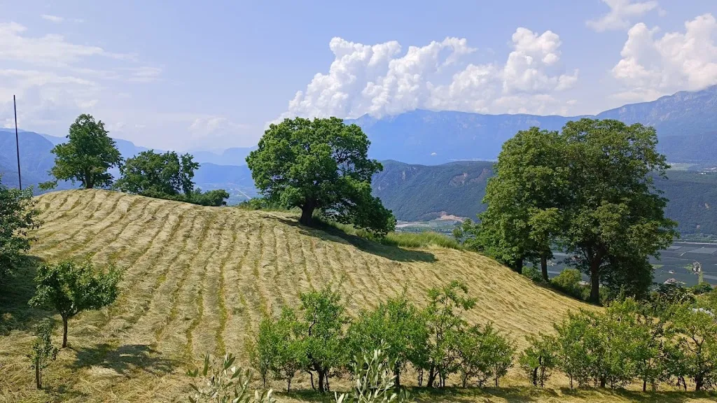 Roland De Conno Pobitzer_Buschenschank Schluntner_Laives_review