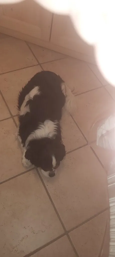 Vincenzo Coniglio_AGRITUR LA DECIMA TRENTO_Mattarello_review