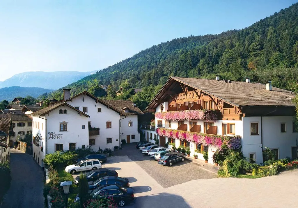 Hotel Schwarzer Adler restaurant in Meltina