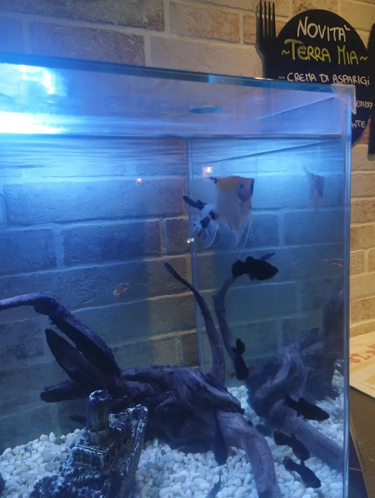 Valeria Mele_Agapè_Maglie_review