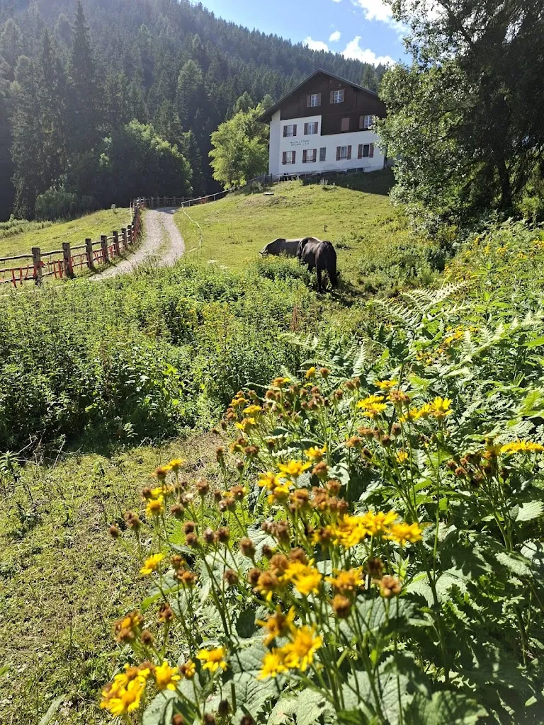 Nicola Angeli_Malga di Fondo_Malosco_recensione