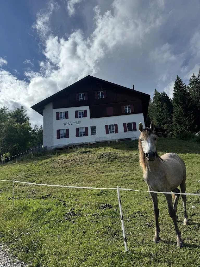 Malga di Fondo_Malosco_slider_image_3