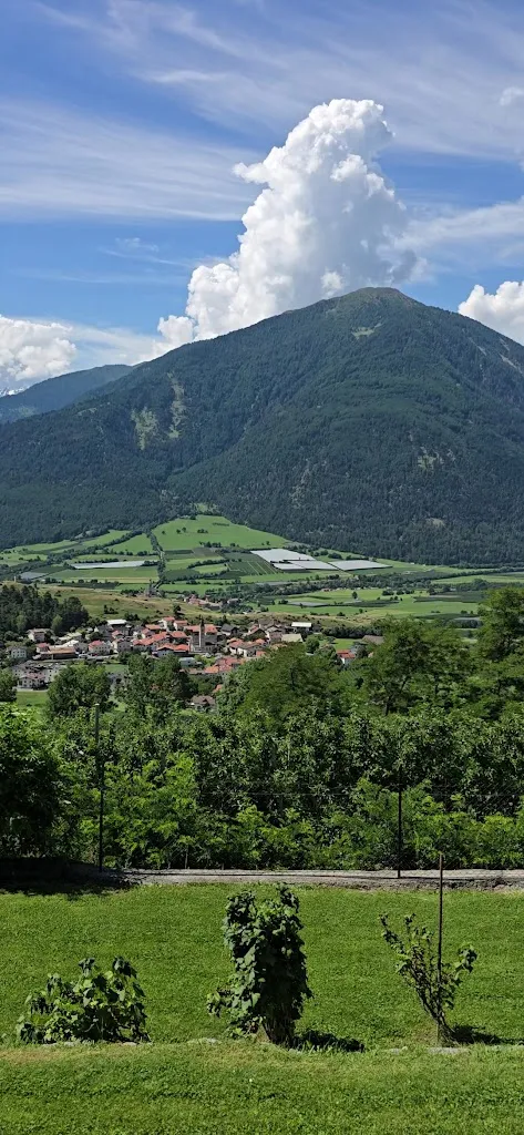 Pflonzgortn Solis_Malles Venosta_slider_image_2