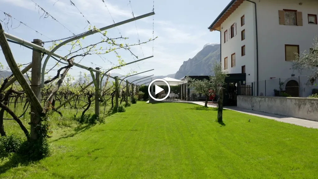 Elementi Ristorante Mezzocorona_Mezzocorona_slider_image_2